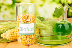 Brayton biofuel availability